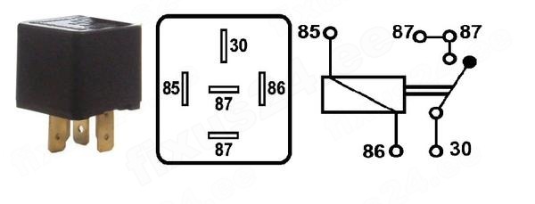 big-1